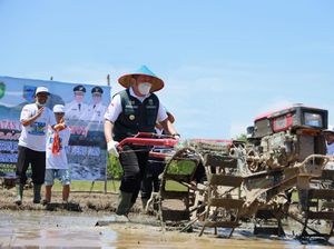 Tekan Kemiskinan, Pemprov Sumsel Luncurkan Gerakan Mandiri Pangan