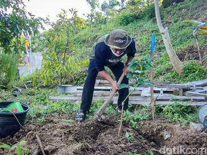 Wisata Gunung Kuniran Bakal Disulap Jadi Kawasan Hutan Buah Wisata Gunung Kuniran Bakal Disulap Jadi Kawasan Hutan Buah