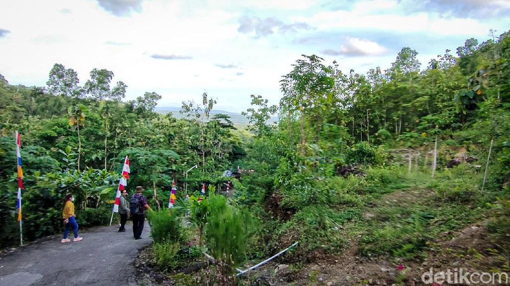 Potret Gunung Kuniran di Kulon Progo yang Mau Diubah Jadi Kebun Buah