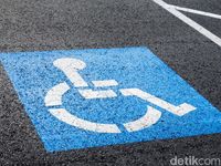 Berita Dan Informasi Komisi Nasional Disabilitas Terkini Dan Terbaru ...