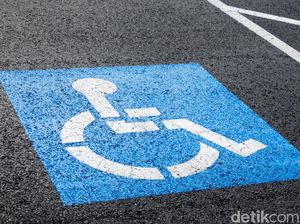 Ini Program Pemerintah yang Bantu Disabilitas untuk Perlindungan Sosial