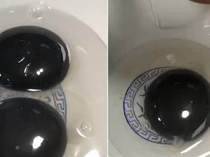 Heboh Kuning Telur Berwarna Hitam Pekat, Apa Ya Sebabnya?