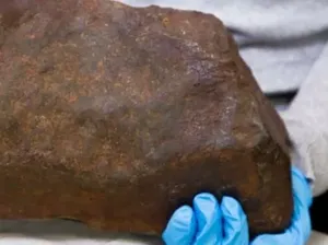 Berharap Emas, Batu yang Disimpan Lama Ini Ternyata Jauh Lebih Berharga