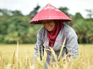 Begini Implementasi Prinsip ESG dalam Kegiatan Bisnis Bukit Asam