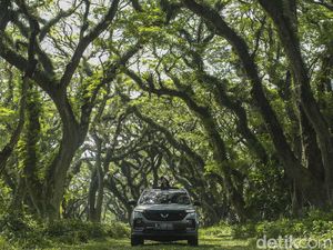 Skema Cicilan Wuling Almaz, Per Bulan Rp 6 Jutaan Skema Cicilan Wuling Almaz, Per Bulan Rp 6 Jutaan