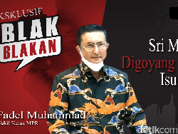 Blak-Blakan Fadel Muhammad: BLBI Bank Intan Sudah Selesai