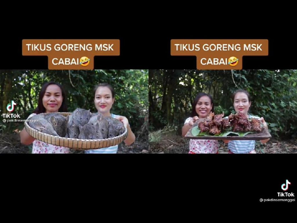 Ekstrem! TikToker Vietnam Ini Masak Tikus Goreng Cabai