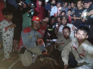 Ngeri! Buaya 3,5 Meter Muncul di Permukiman Padat Penduduk di Samarinda