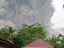 Saat Erupsi Gunung Semeru Renggut Belasan Jiwa