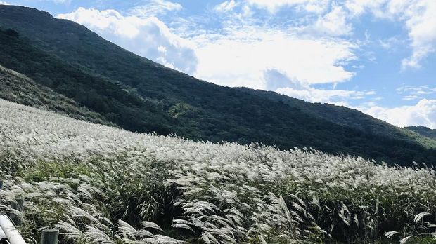 Fauziyyah, WNI yang bermukim di Korea Selatan, saat melakukan pendakian gunung di Negeri Ginseng Fauziyyah, WNI yang bermukim di Korea Selatan, saat melakukan pendakian gunung di Negeri Ginseng. (Dok. Fauziyyah)