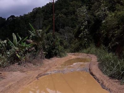 Potret Jalan Rusak Parah di Karo Bikin Warga Kirim Jeruk 1 Truk ke Jokowi