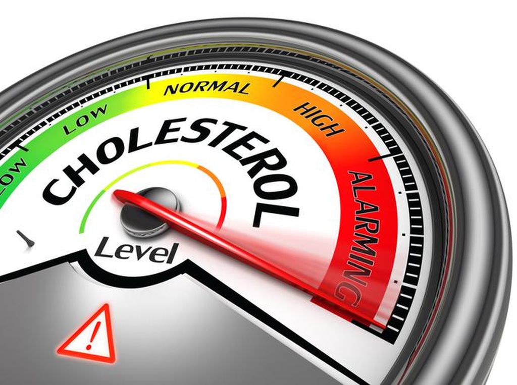 Apakah Cumi Mengandung Kolesterol? Kata Dokter Sih Ada, Tapi... Apakah Cumi Mengandung Kolesterol? Kata Dokter Sih Ada, Tapi...
