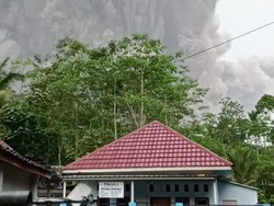 Berikut 3 Titik Lokasi Pengungsian Korban Erupsi Semeru di Lumajang