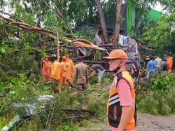 Belasan Pohon di Cirebon Tumbang Diterjang Hujan-Angin Kencang