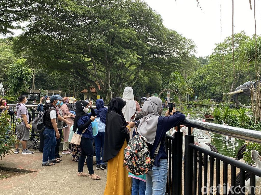 Meski Mendung, Tetap Banyak Warga Berwisata di Taman Margasatwa Ragunan