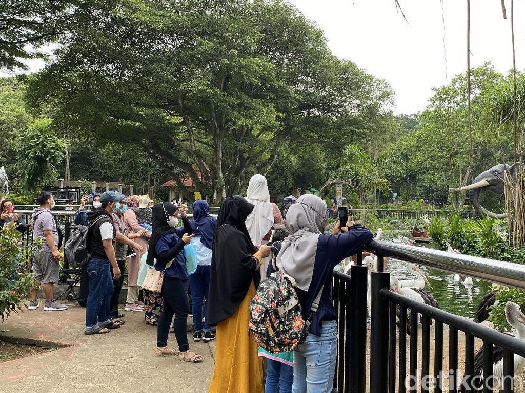 Meski Mendung, Tetap Banyak Warga Berwisata di Taman Margasatwa Ragunan Meski Mendung, Tetap Banyak Warga Berwisata di Taman Margasatwa Ragunan