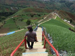 Hijaunya Terasering Panyaweuyan Majalengka, Bikin Segar Mata!