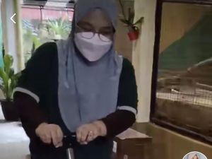 Viral Wanita Bawa Stroller Bayi Tapi Isinya Ular Sawah, Ini Kisah di Baliknya Viral Wanita Bawa Stroller Bayi Tapi Isinya Ular Sawah, Ini Kisah di Baliknya