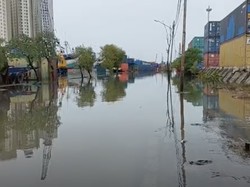 Banjir Rob Masih Genangi Pademangan Jakarta Utara