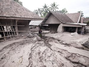 BNPB: 5.205 Orang Terdampak Erupsi Semeru, 1.300 di Antaranya Mengungsi