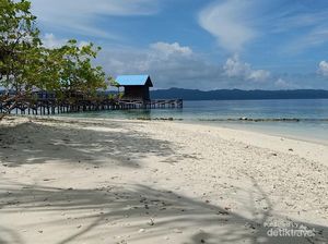 Jalan-Jalan ke Kampung Wisata Arborek, Jaga Terumbu Karangnya ya!