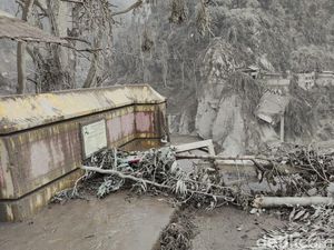 Penampakan Jembatan Lumajang-Malang yang Putus Diterjang Banjir Lahar Semeru