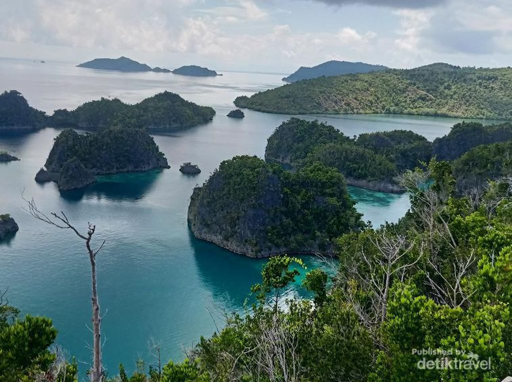Geotagging Diyakini Permudah Turis Tonton Paus Biru Geotagging Diyakini Permudah Turis Tonton Paus Biru