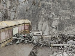 Melihat Kondisi Jembatan Besuk Kobokan yang Hancur Usai Erupsi Semeru