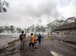 Kabar Terbaru Usai Erupsi Semeru: 14 Korban Tewas, Status Waspada