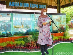 Gelar Aquarium Expo 2021, Banyuwangi Pacu Ekonomi Kreatif