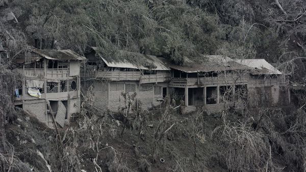Dampak Guguran Awan Panas Bikin Lansekap Lumajang bak Foto Hitam Putih