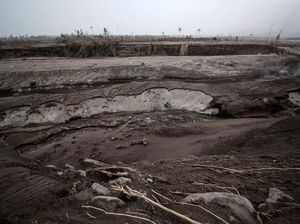 PVMBG Minta Warga Tak Beraktivitas di Sungai Besuk Kobokan Sejauh 13 Km