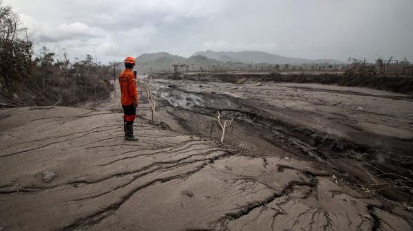 Kondisi Terkini Jalur Guguran Awan Panas Gunung Semeru