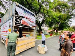 Kiriman Jeruk Warga Karo, Teguran Jokowi, dan Sindiran Balik Gubsu