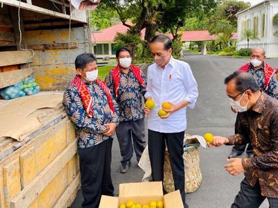 Potret Truk 3 Ton Jeruk Oleh-oleh Warga Karo untuk Jokowi di Istana