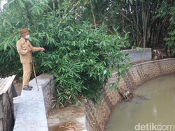 Waspada Jebol Lur! Ribuan Titik Tanggul Sungai di Kudus Rembes