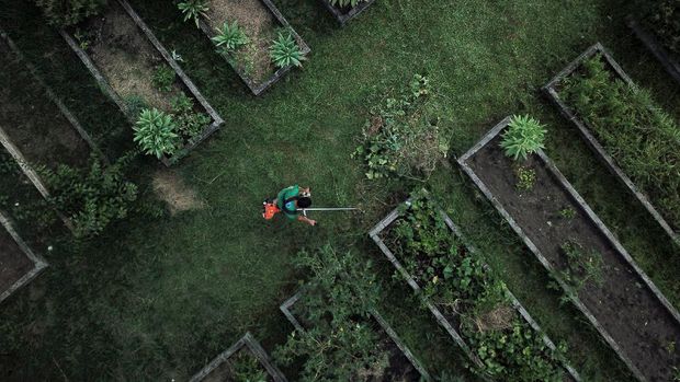 A drone picture of a person working at the Horta de Manguinhos (Manguinhos vegetable garden), the biggest urban garden in Latin America, part of the project 