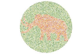 Tebak Gambar Hewan, Yang Enggak Bisa Jawab Berarti Harus Cek Mata