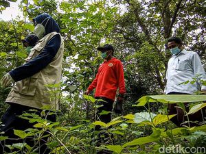 Ketika Nakes ke Pelosok Hutan Kulon Progo Demi Vaksinasi Lansia