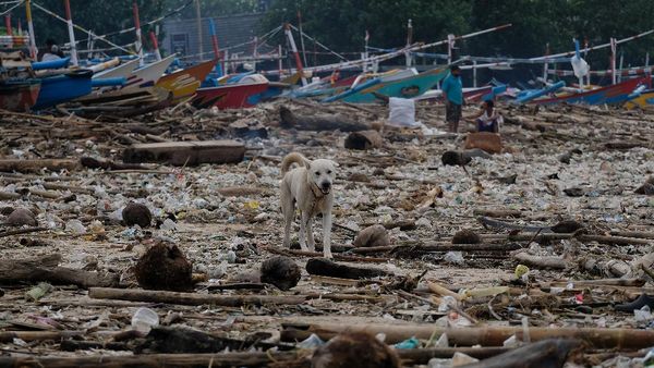 Cuaca Ekstrem di Bali Bikin Pantai Kedonganan Penuh Sampah