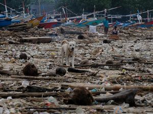 Cuaca Ekstrem di Bali Bikin Pantai Kedonganan Penuh Sampah