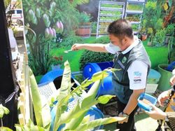 Warga Sumsel Diajak Galakkan Urban Farming, Ini Manfaatnya