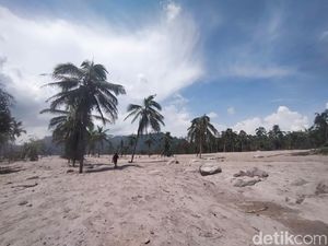 Tim SAR Tindak Lanjut Penemuan Potongan Kaki di Kampung Renteng Lumajang