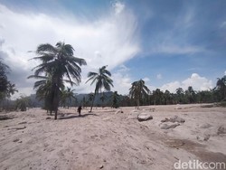 Tim SAR Tindak Lanjut Penemuan Potongan Kaki di Kampung Renteng Lumajang