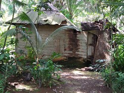 Viral Kakek di Sumut Tinggal di Gubuk Reyot-Rawat Istri ODGJ