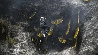 Eksotis, Para Pemburu Ini Masih Memanen Madu di Tebing Terjal