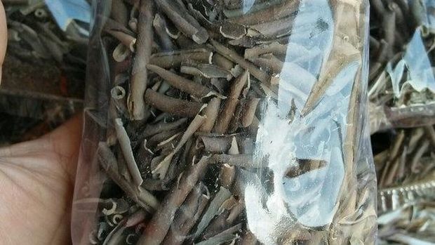 5 Fakta Ampo, Kuliner khas Tuban dari Tanah Liat yang Viral di TikTok