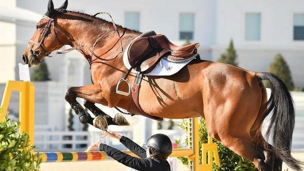 Awas Foto Ini Menyesatkan Mata Bila Dilihat Sekilas