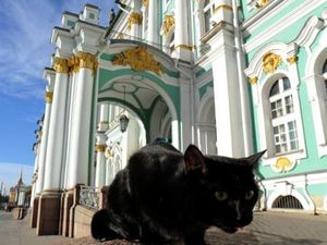 Ternyata, Ada Istana Kucing di Ruang Bawah Tanah Museum Ini