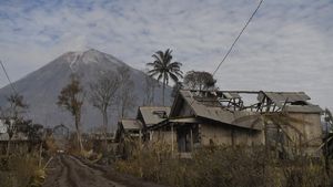 Kondisi Terkini Curah Kobokan, Dusun Terparah Dihantam Abu Gunung  Semeru